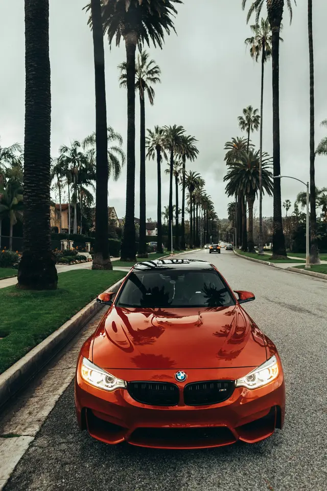 Red sports car on a palm-lined avenue